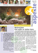 Ausgabe 12/2008 (Grösse 2.7 MB)