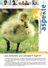 Ausgabe 04/2019 (Grösse 10.9 MB) 